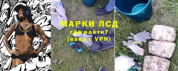 гашик Козловка