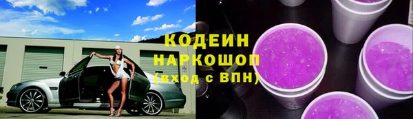 гашик Козловка