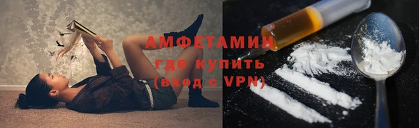 гашик Козловка