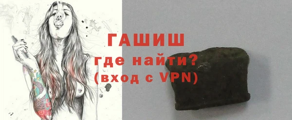 гашик Козловка