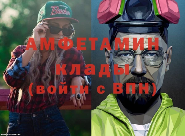 гашик Козловка