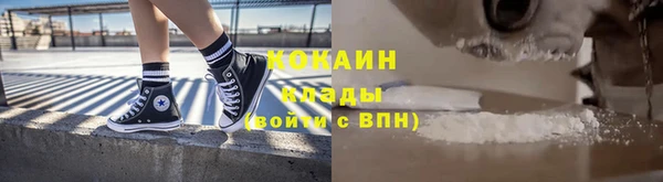 гашик Козловка