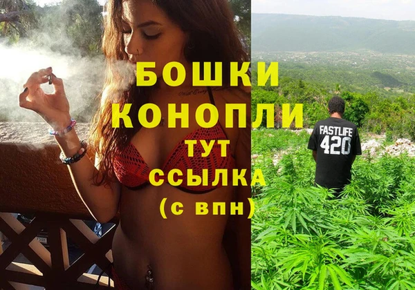 гашик Козловка