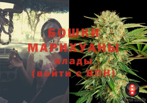 гашик Козловка