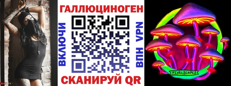 Галлюциногенные грибы Psilocybe  Купить закладки  Камышин 